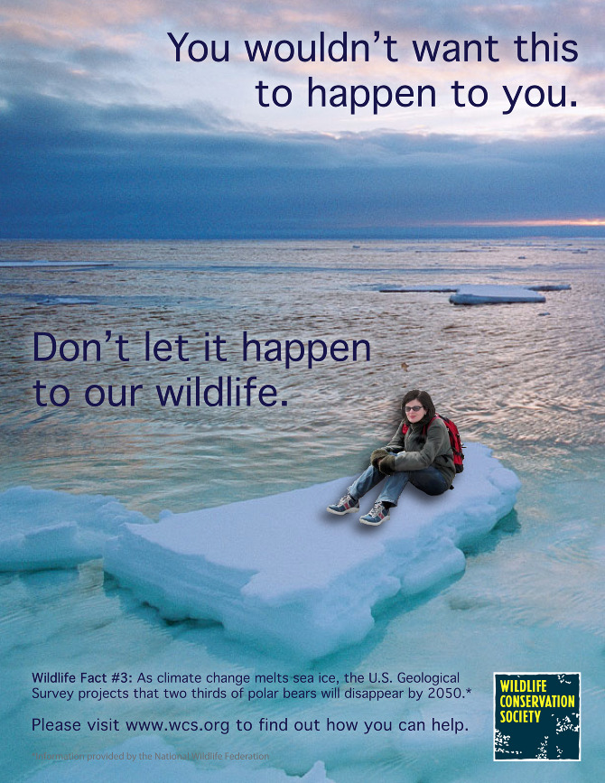Wildlife Conservation Society - Advertising and Design Portfolio